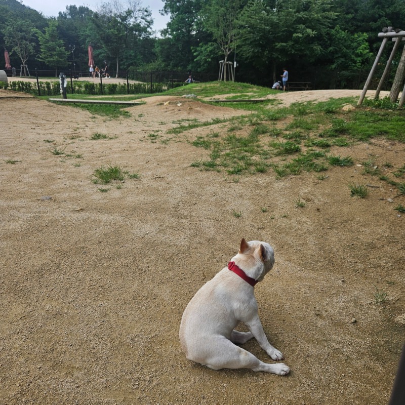 더운 찐빵 