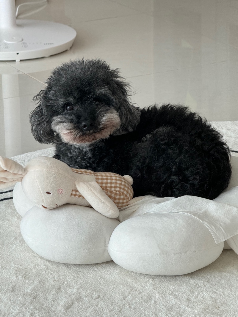 큰딸