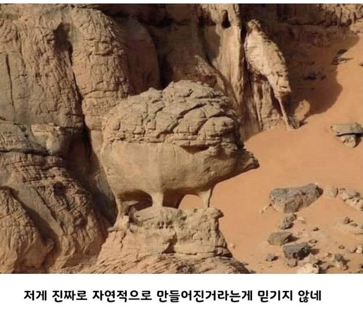 알제리의 돼지바위