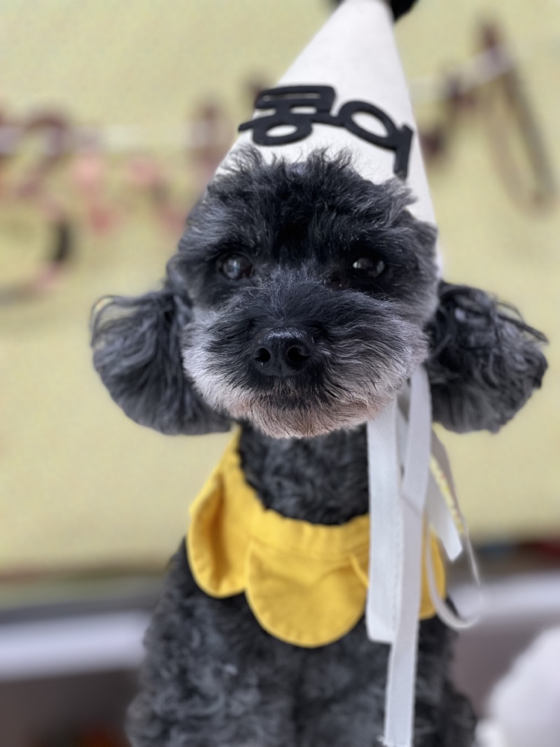 깜듕이