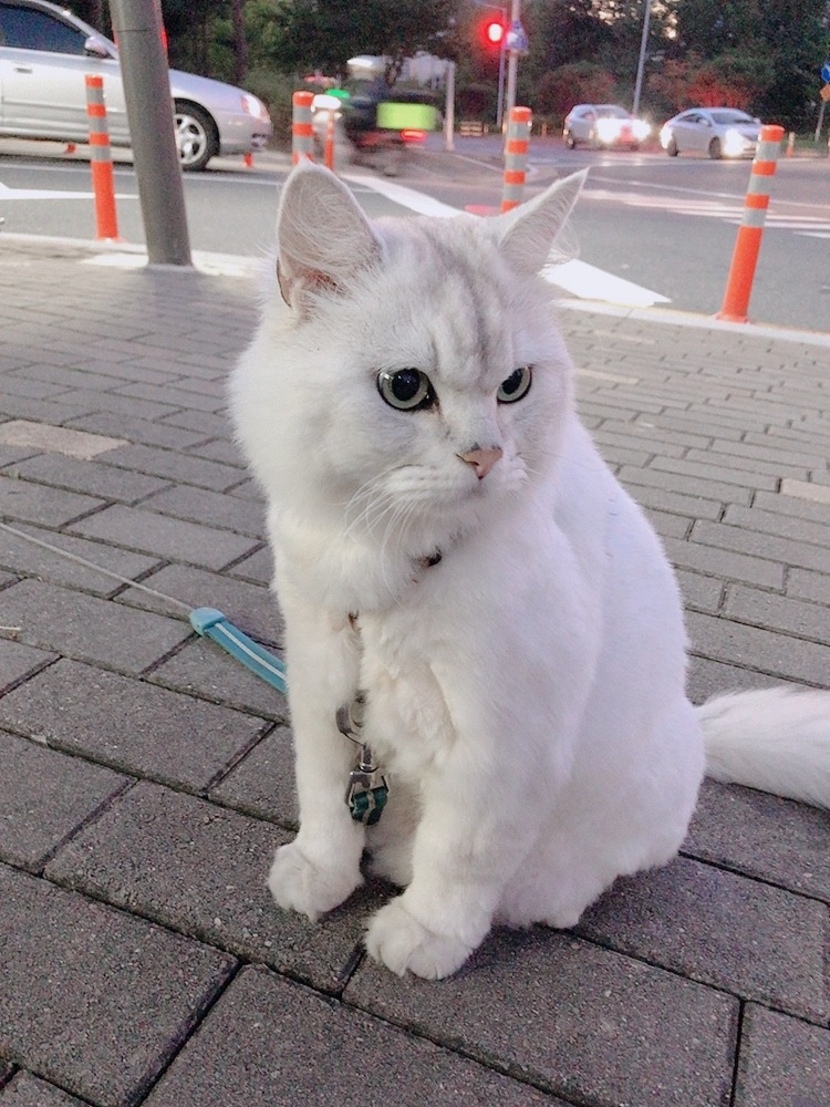 편의점 점주님
