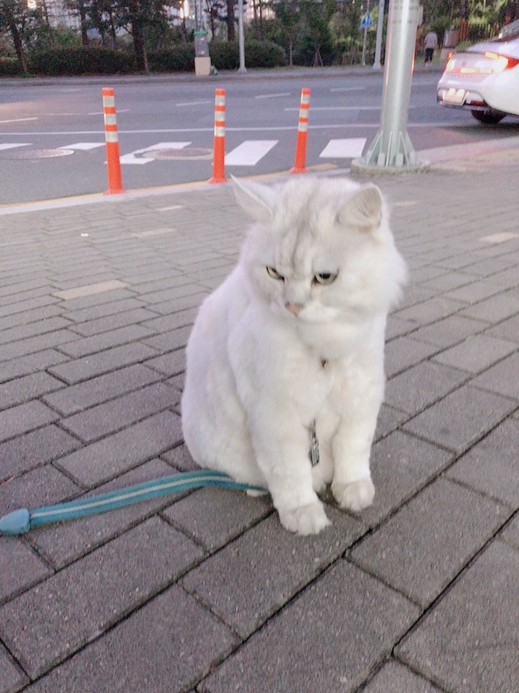 편의점 점주님