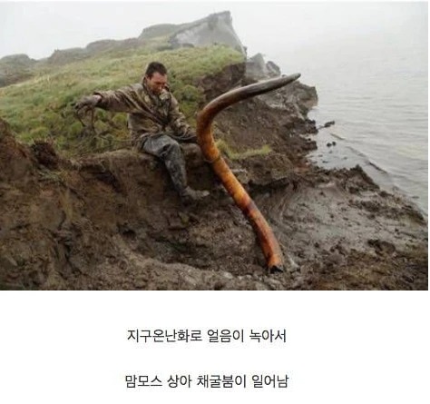 지구 온난화를 겪는 시베리아 근황 