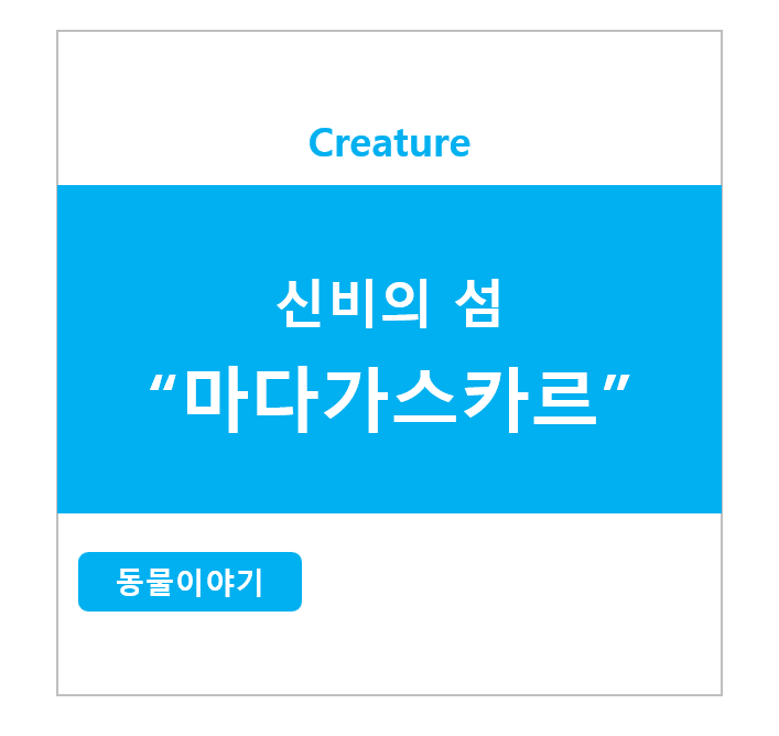 신비의 섬 마다가스카르