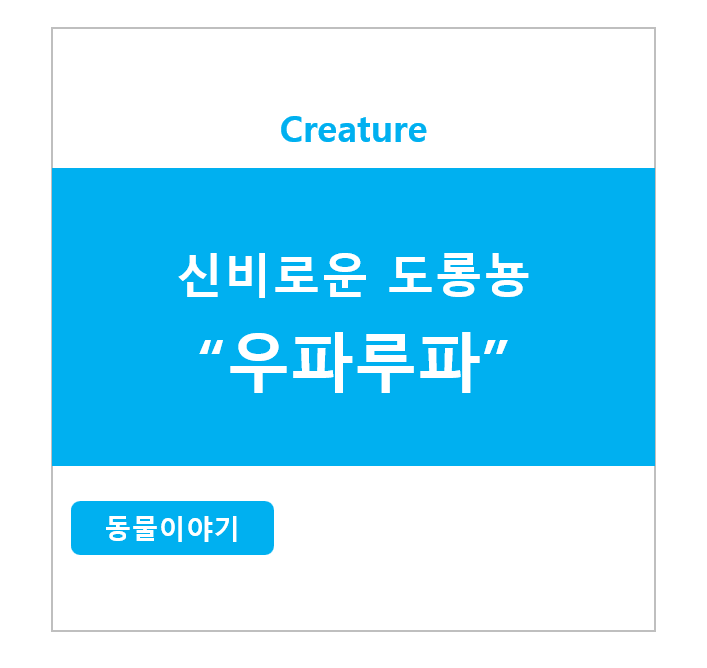 신비한 도롱뇽 우파루파