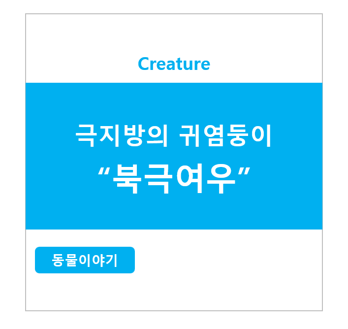 극지방의 귀염둥이 북극여우