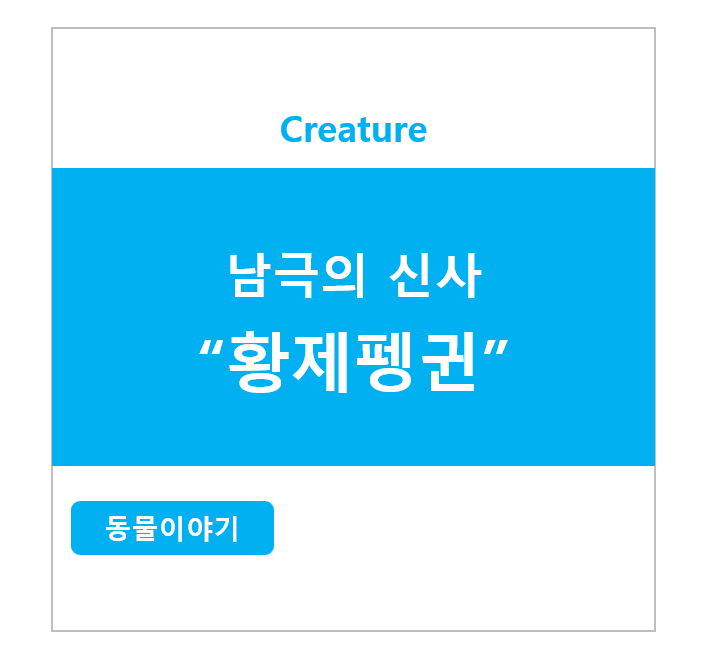 남극의 신사 황제펭귄