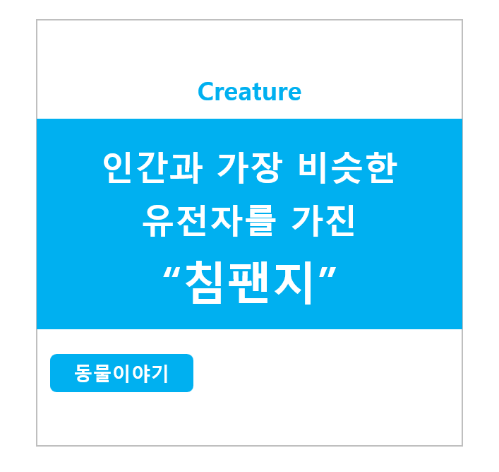 인간과 가장 비슷한 유전자를 가진 침팬지