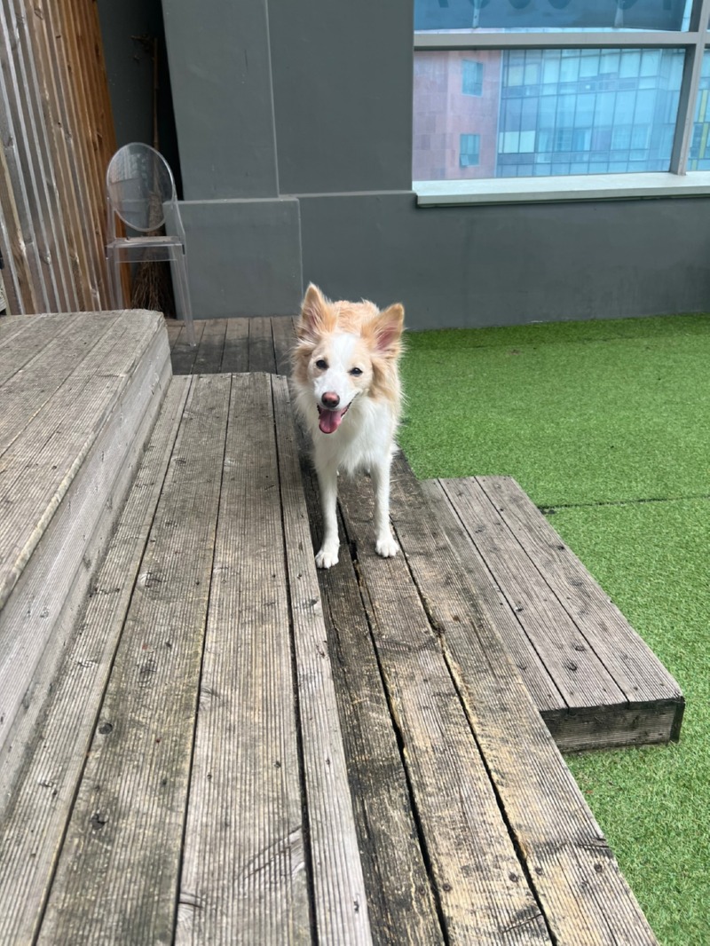 오늘의 모험은?ㅋㅋ