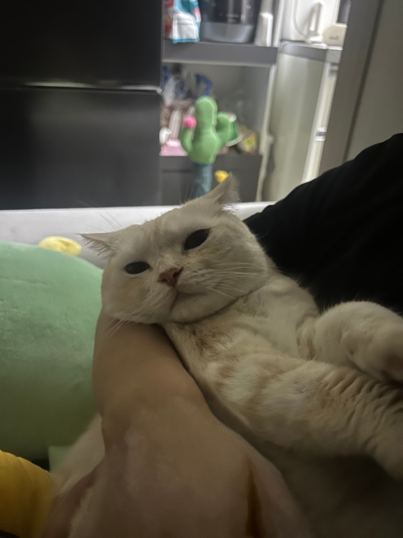 으 집사 친한 척 하지마...