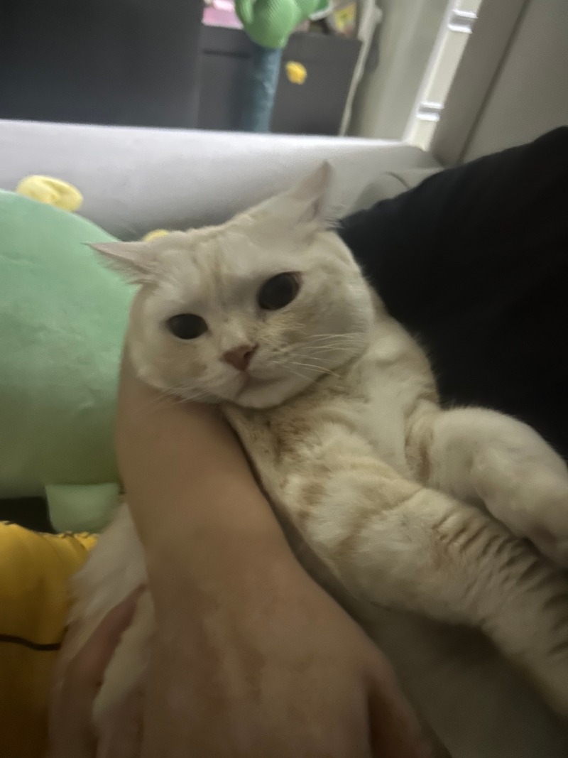 으 집사 친한 척 하지마...
