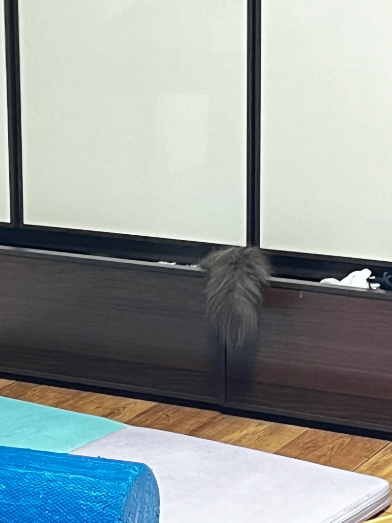 옷장은 열어두면 안돼