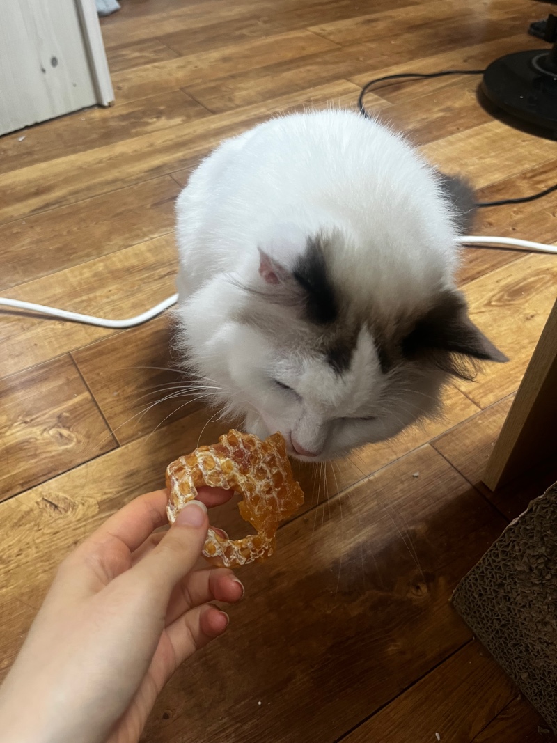 IMG_4795.jpeg