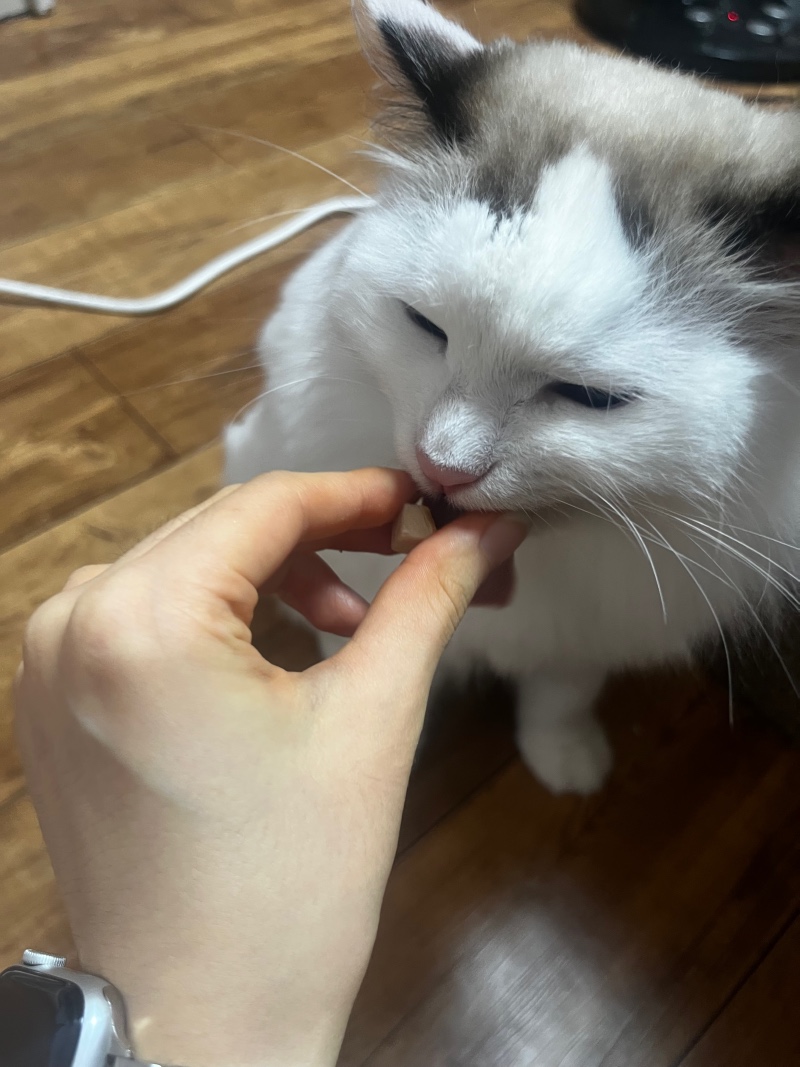 IMG_4799.jpeg