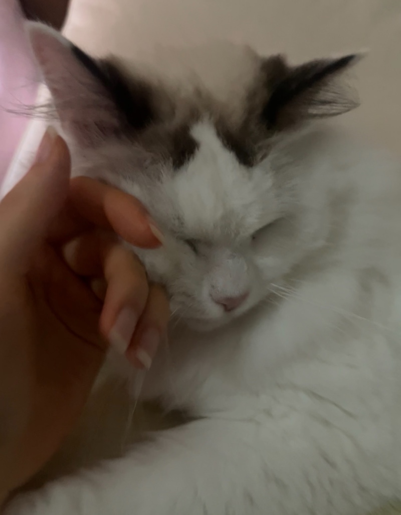 아침이 좋은 이유