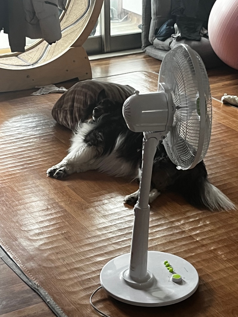 선풍기는 다다익선