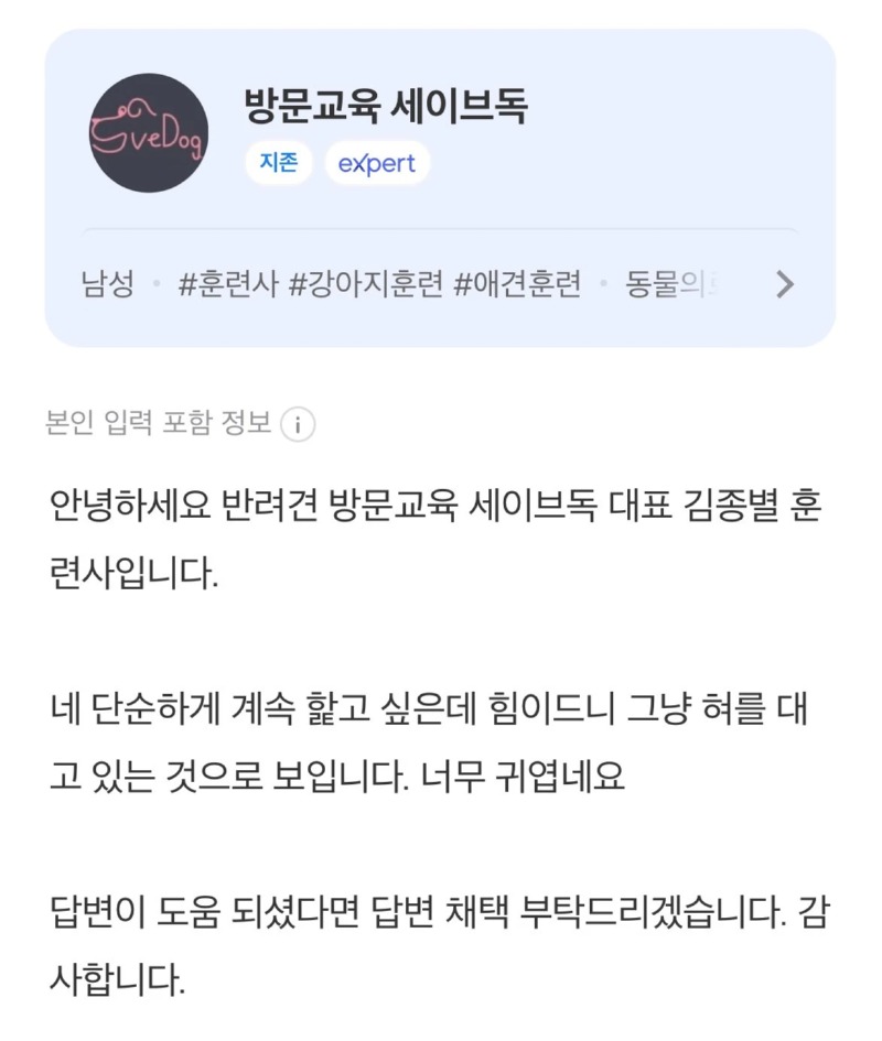 강아지가 혀를 대고 있는 이유 