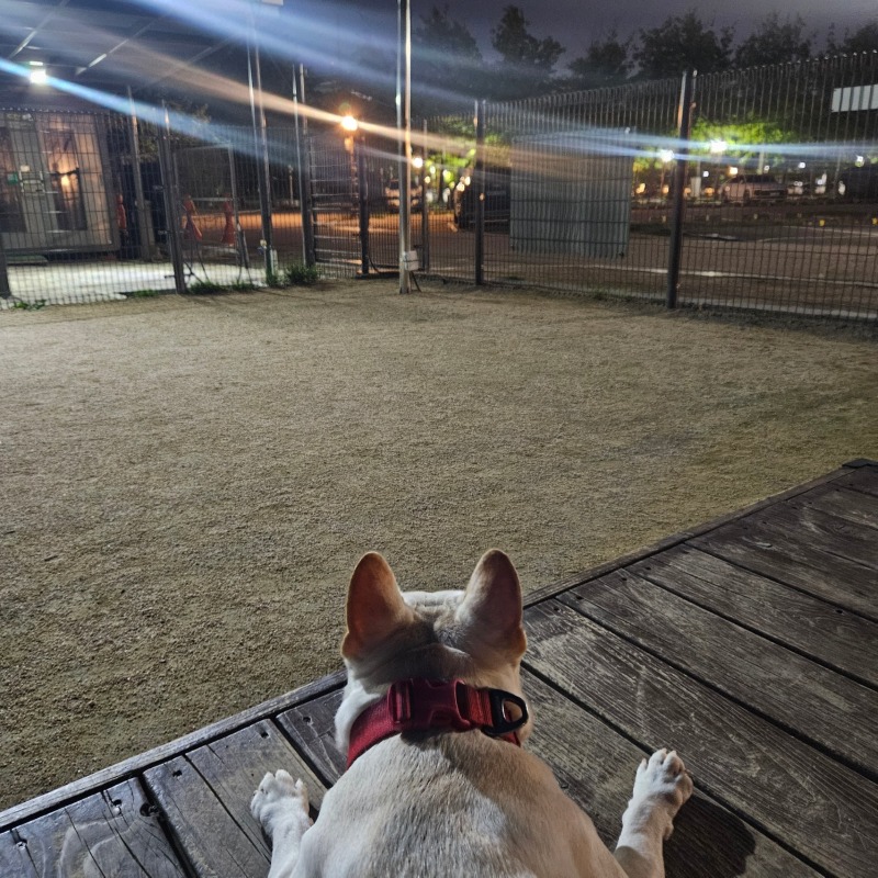 찐빵이