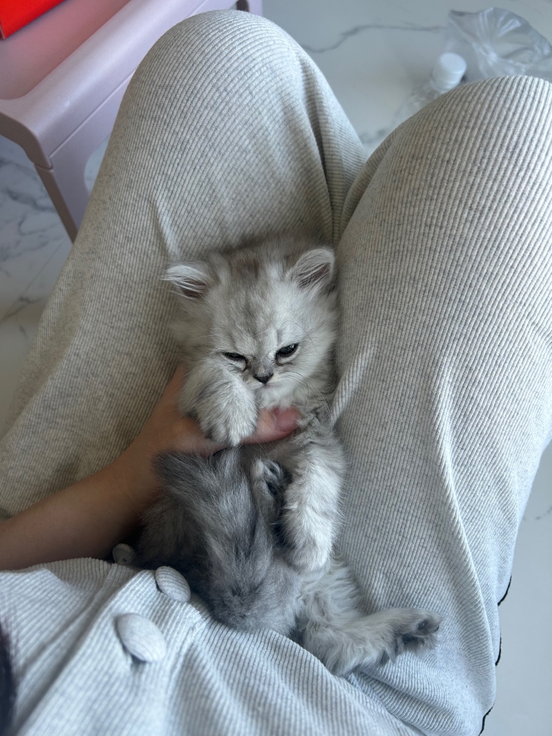 3개월차 아기 🥰