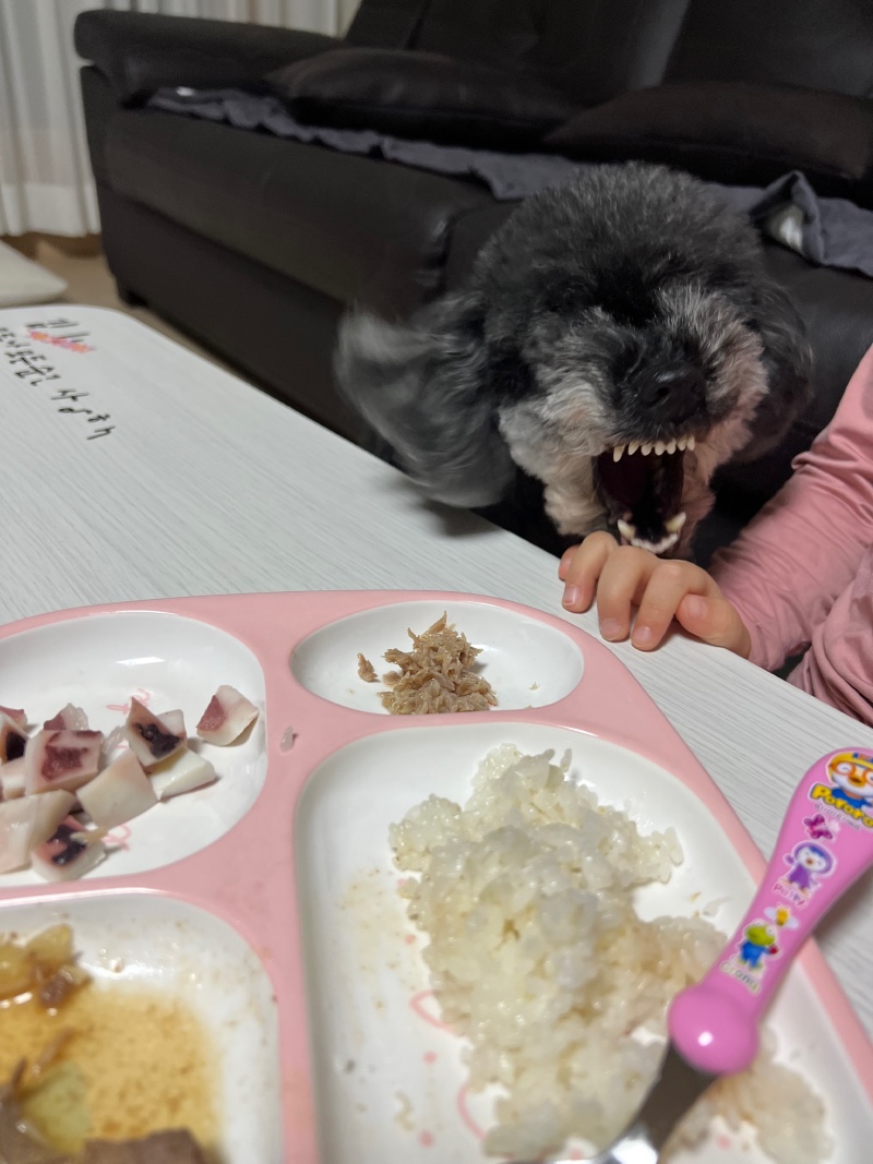 콩이