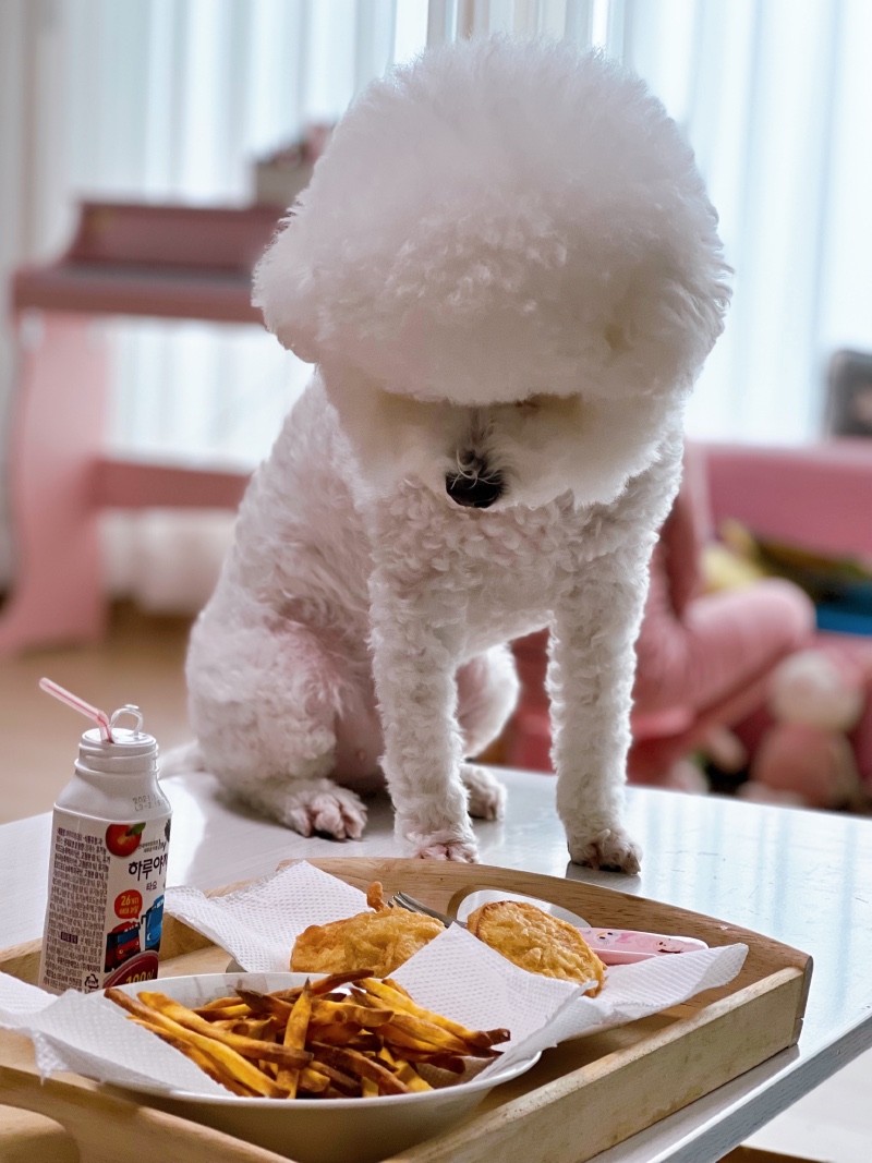곰돌이