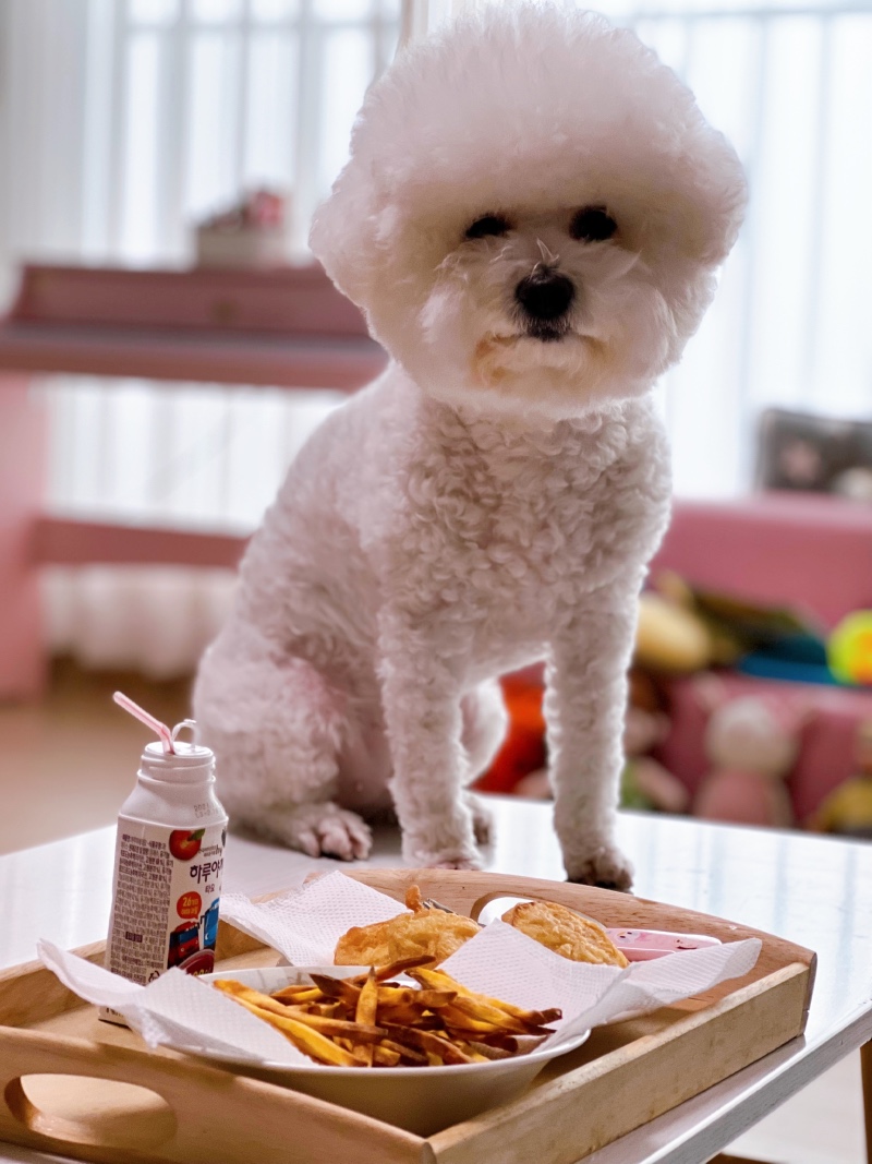 곰돌이