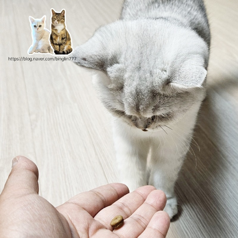 KakaoTalk_20240717_122703384.jpg