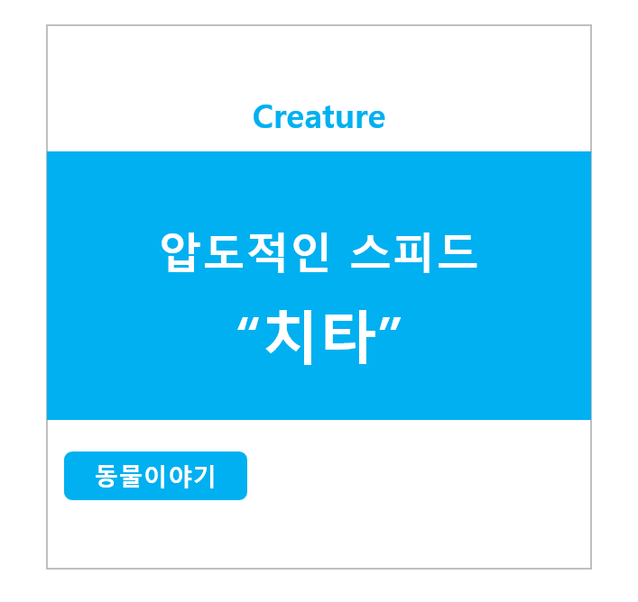 압도적인 스피드 치타