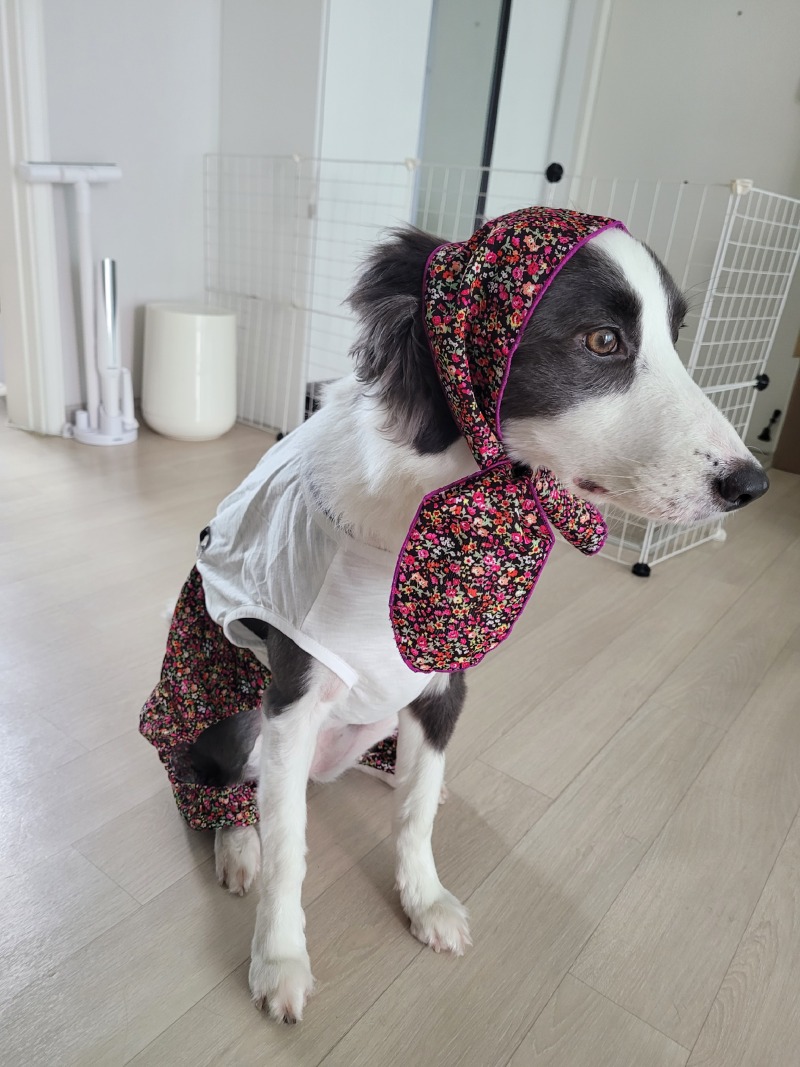 김장하러 갑니다