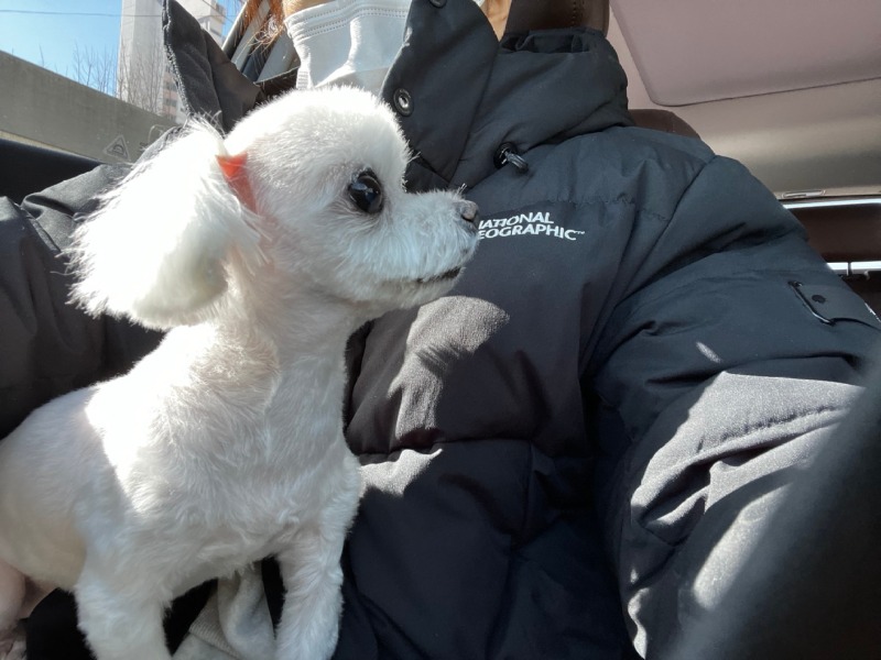 단비입니다~