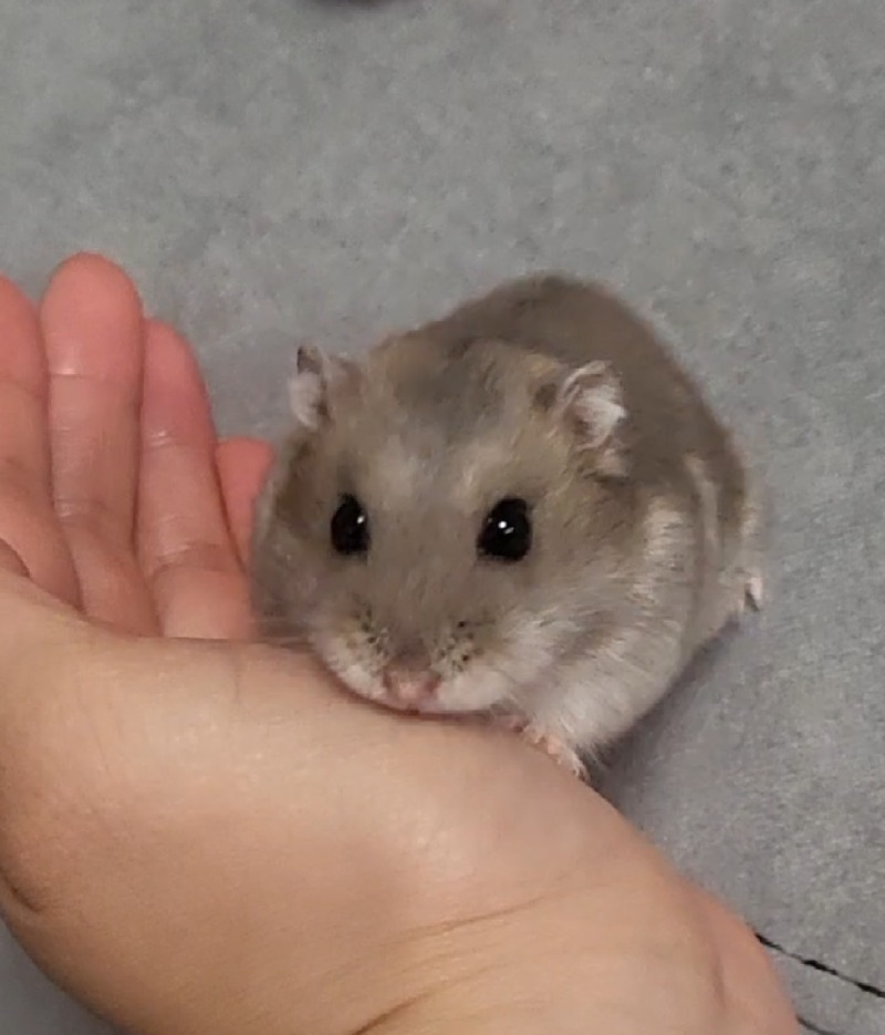 허겁지겁 국수먹방