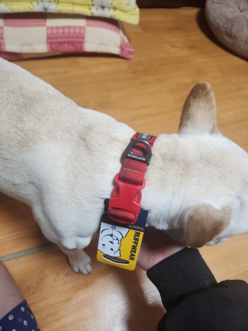 KakaoTalk_20240715_183504521.jpg