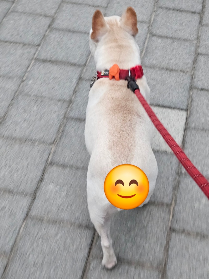 KakaoTalk_20240715_183504521_01.jpg
