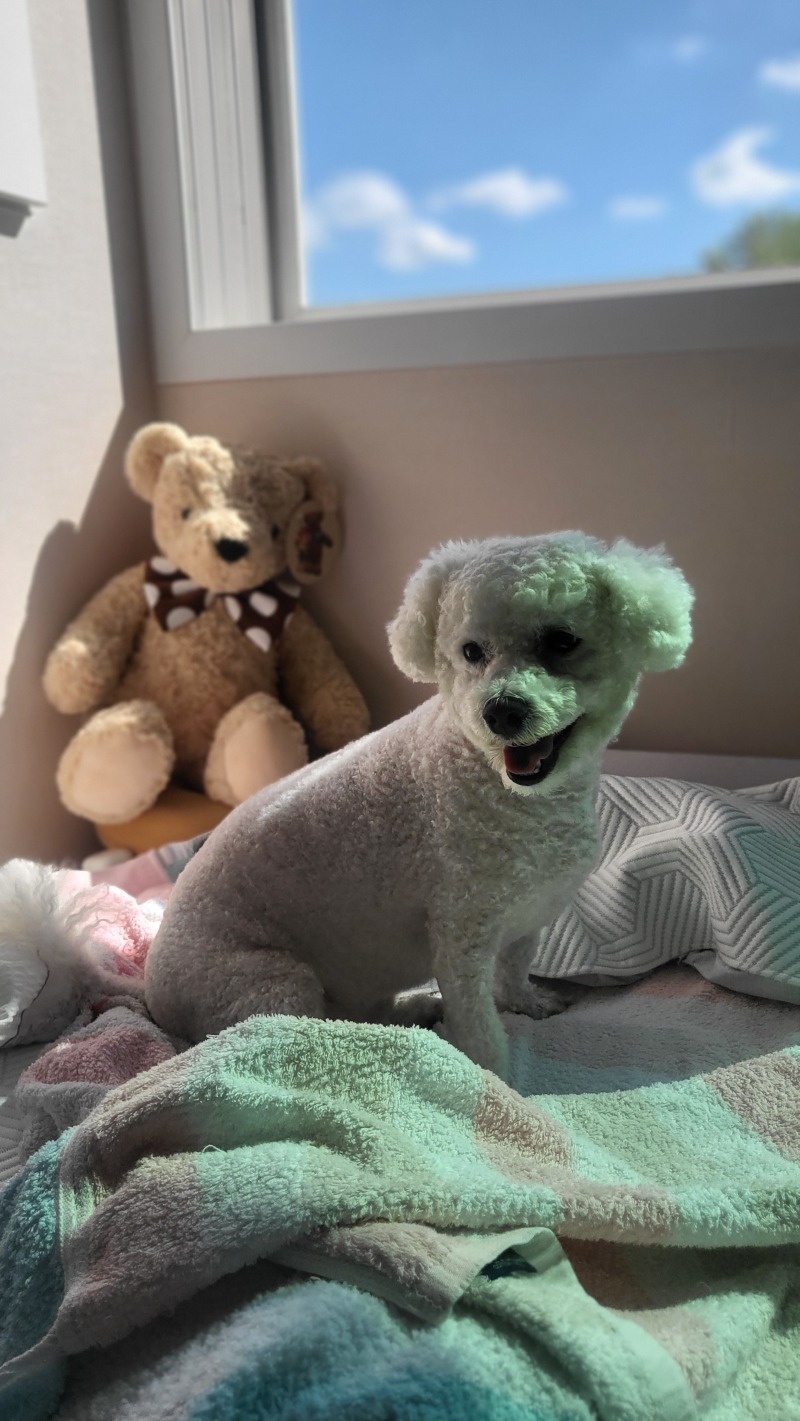헥헥