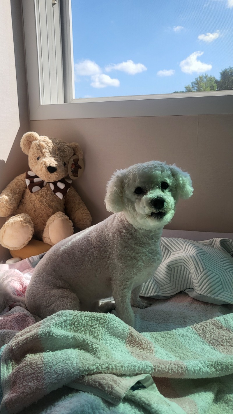 헥헥