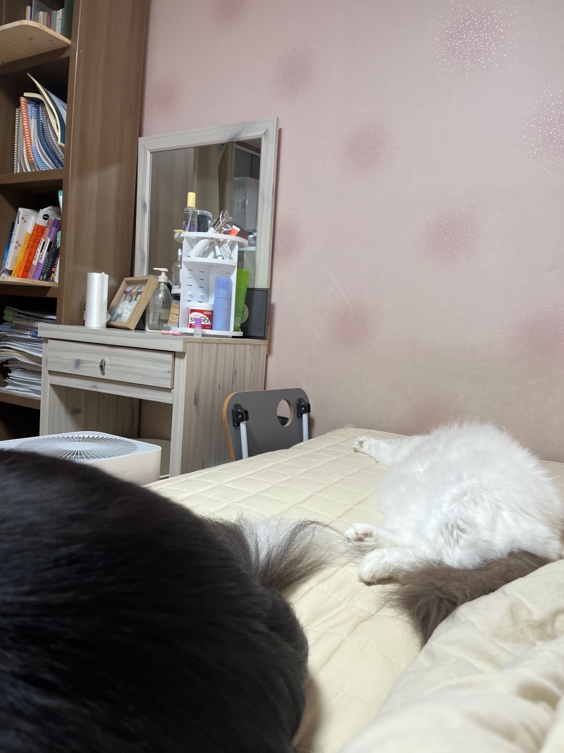 기욥