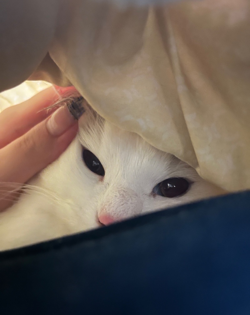 기욥