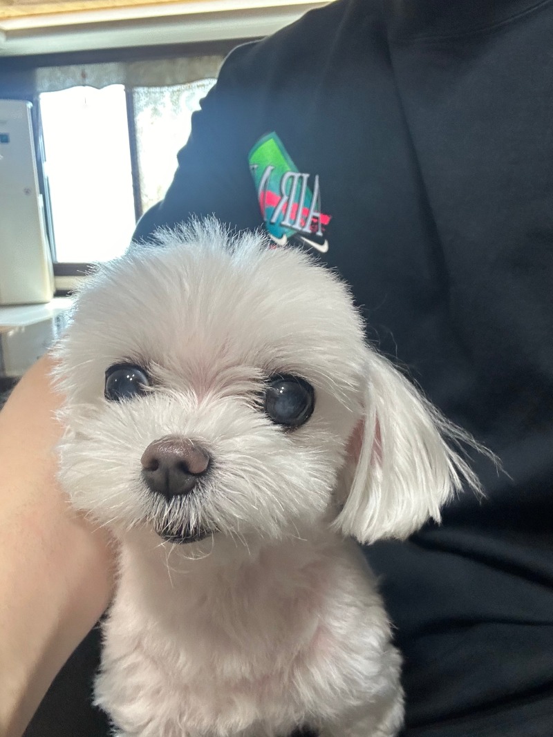 너무 귀여운단비!