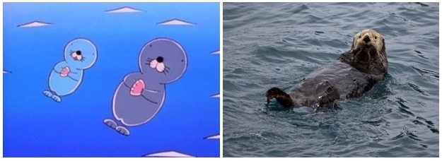 치명적으로 귀여운 수달과 해달의 차이점