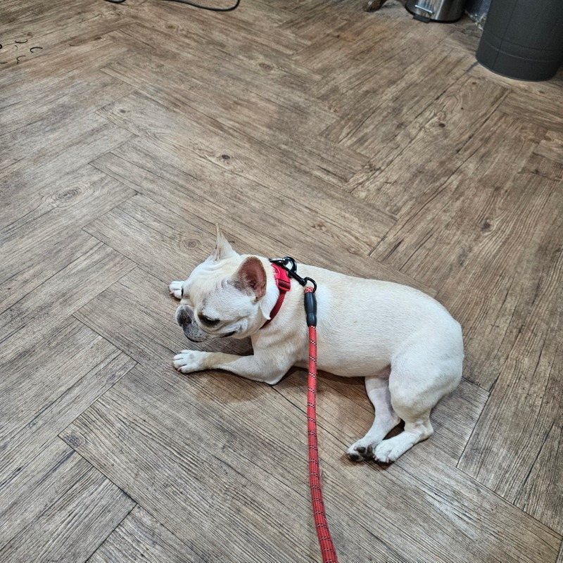 KakaoTalk_20240724_140447269.jpg