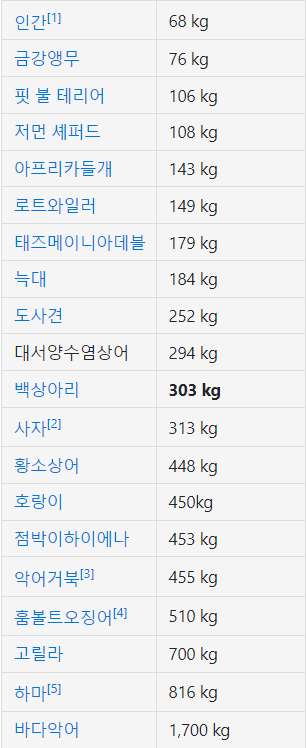 바다의 폭군 백상아리