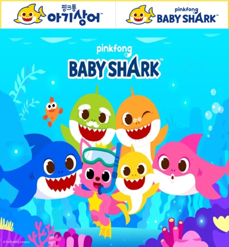 바다의 폭군 백상아리