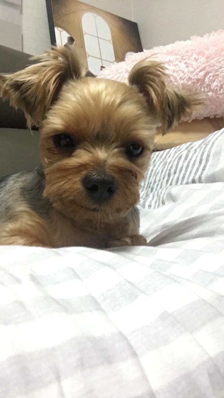 코코♡