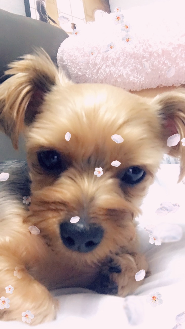 코코♡