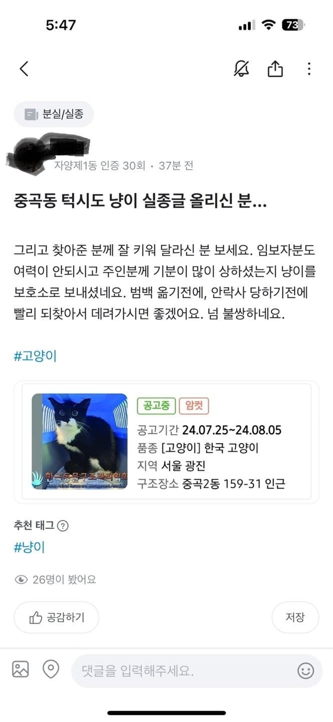 아주 나쁜 고양이 유기범 