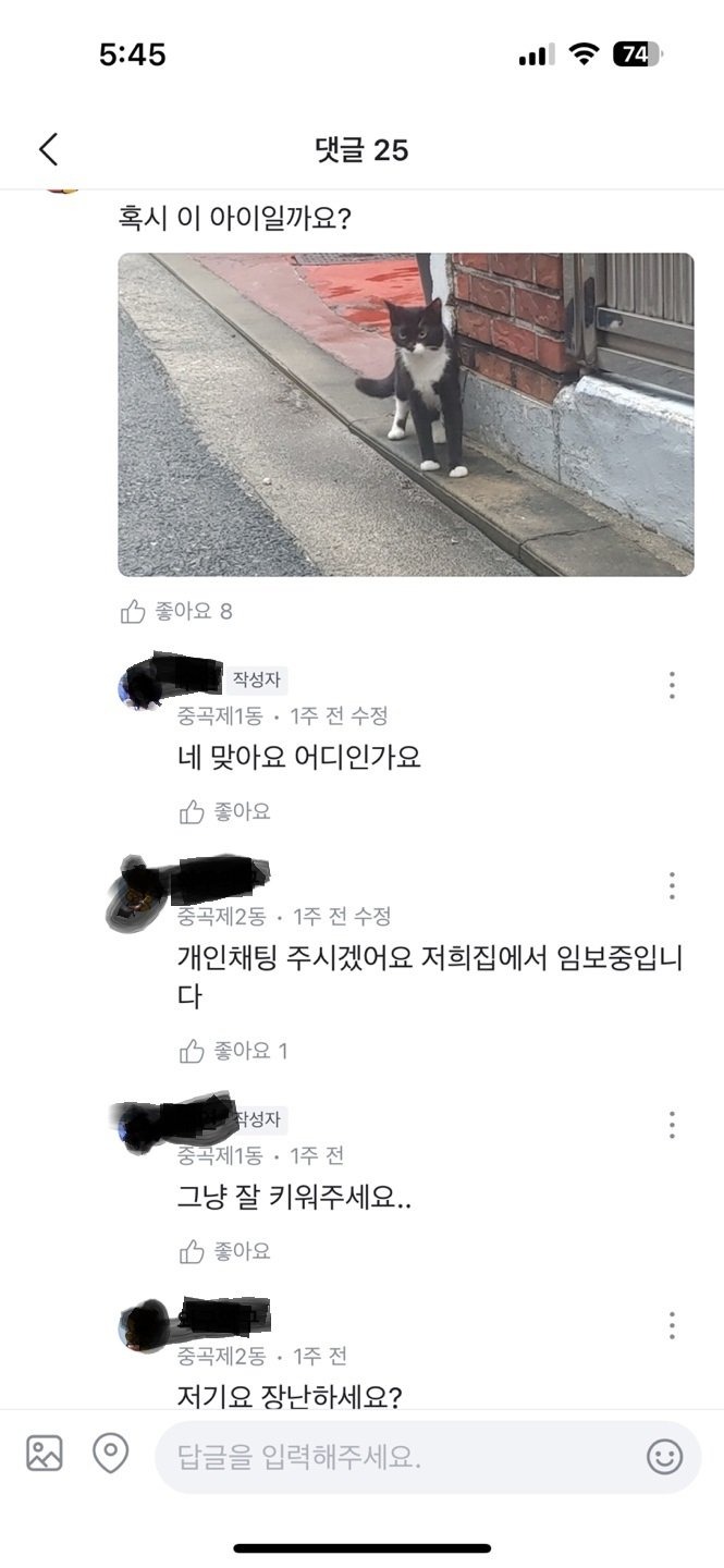 아주 나쁜 고양이 유기범 