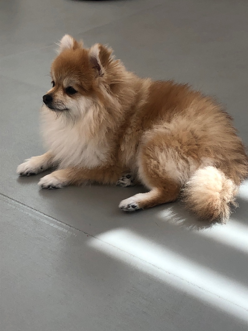 휴식취하는중ㅎㅎ