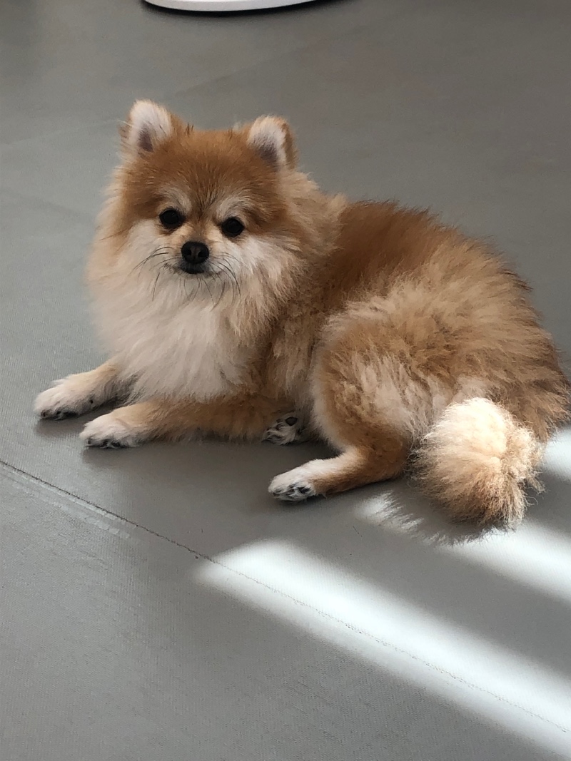 휴식취하는중ㅎㅎ