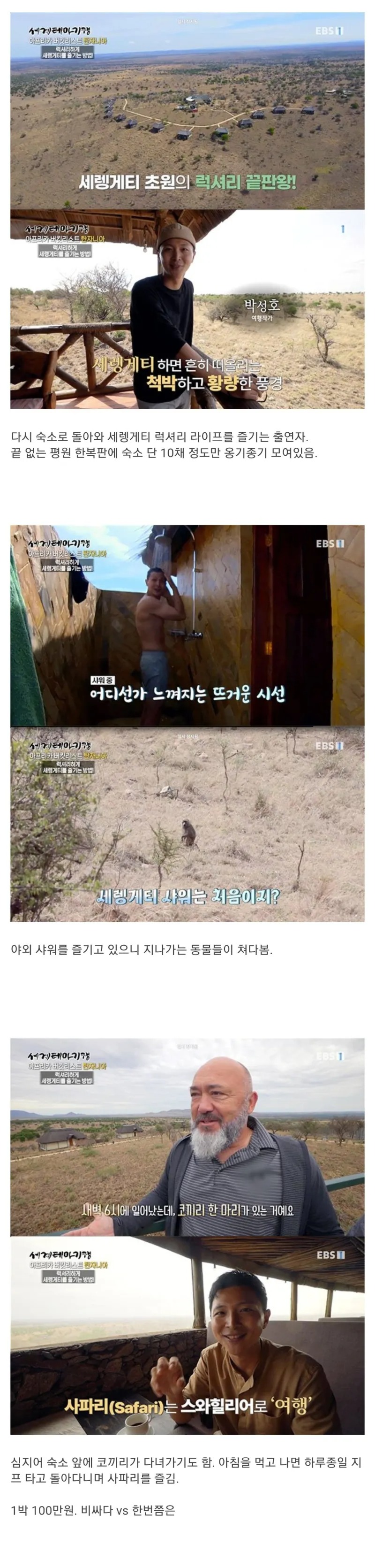 1박에 100만원 이라는 세렝게티의 럭셔리숙소