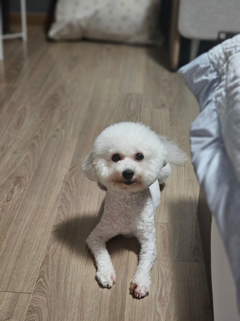 둘째 공유
